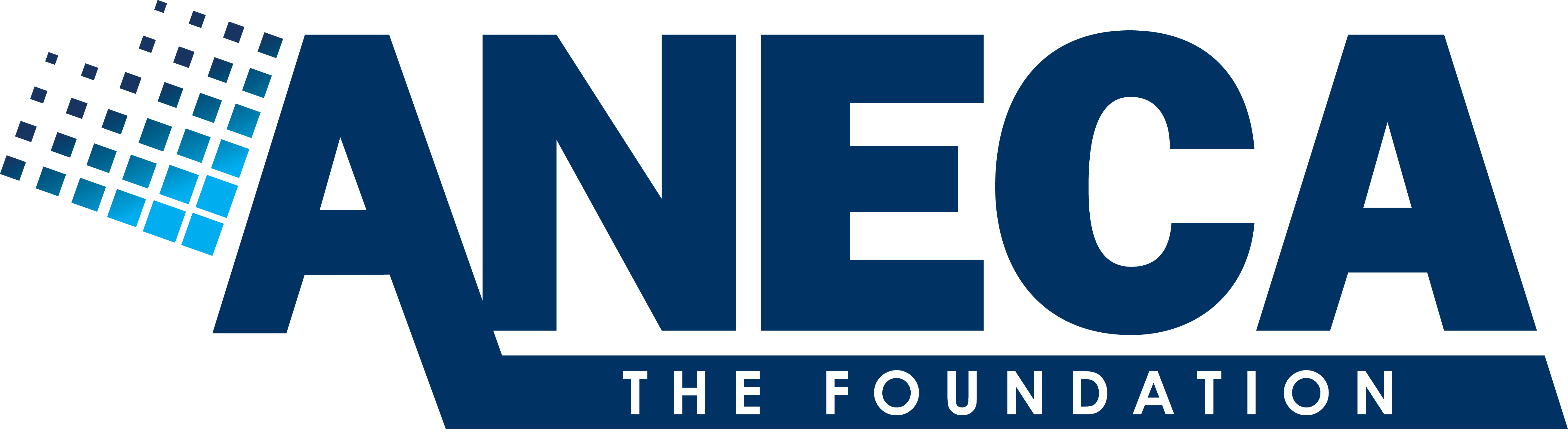 ANECA Foundation 